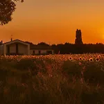Domus Natura Vigonza
