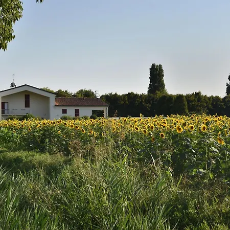 Domus Natura * Vigonza