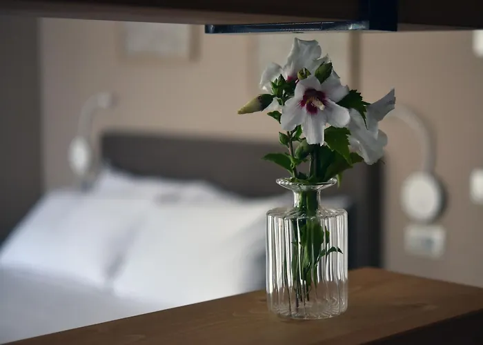 Domus Natura * Vigonza