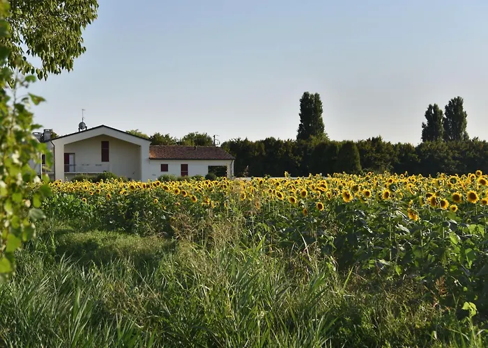 Domus Natura * Vigonza