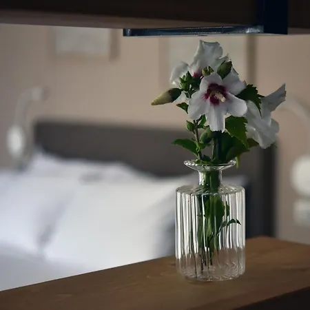 Domus Natura * Vigonza