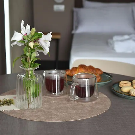 Domus Natura Vigonza